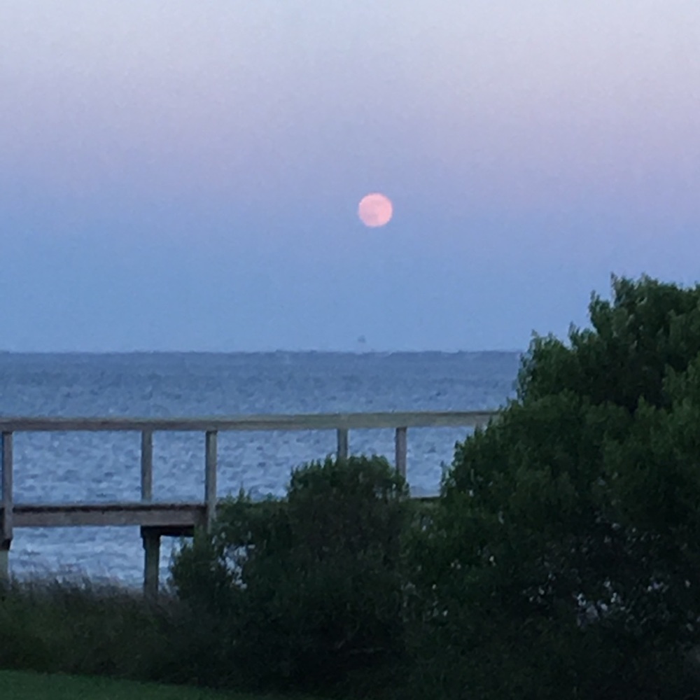 Meet your Posher, Mandy